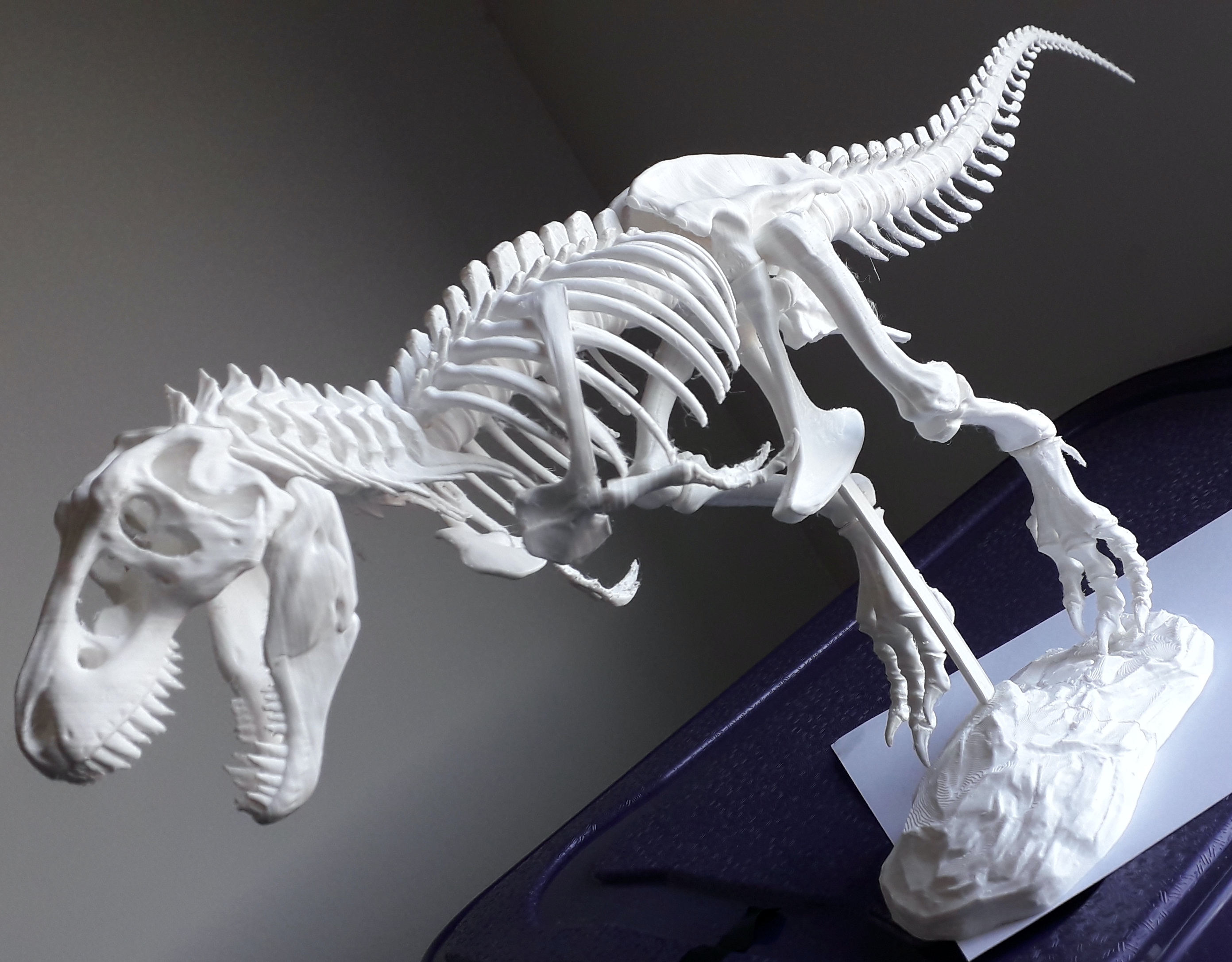 Decoração: Tiranossauro Rex - Ford